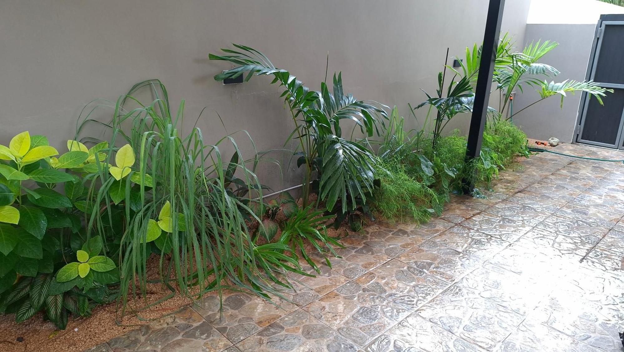 Luxury Retreat At Aqua Breeze Apartment, Flic-en-Flacq エクステリア 写真